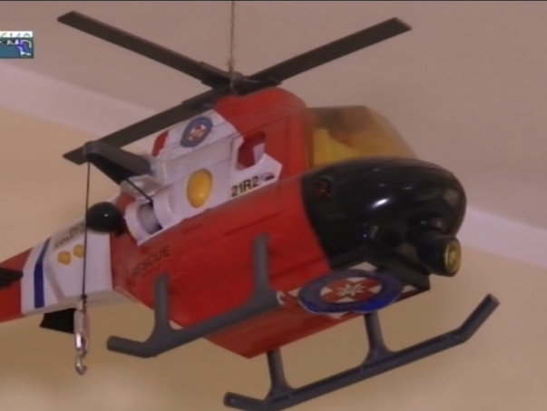 Domnius Angelus (Dujini Anđeli)